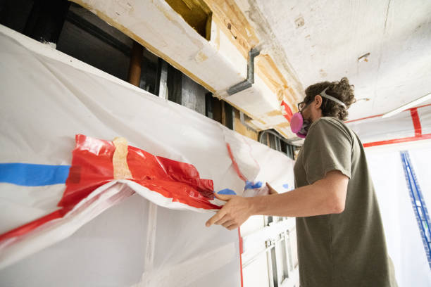 Reliable Dubois, PA Mold Removal Solutions